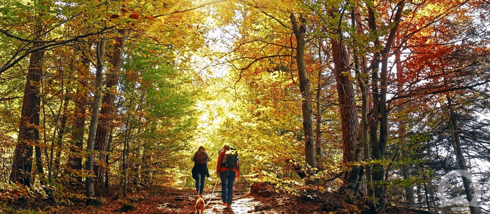 Des belles randonnées vous attendent